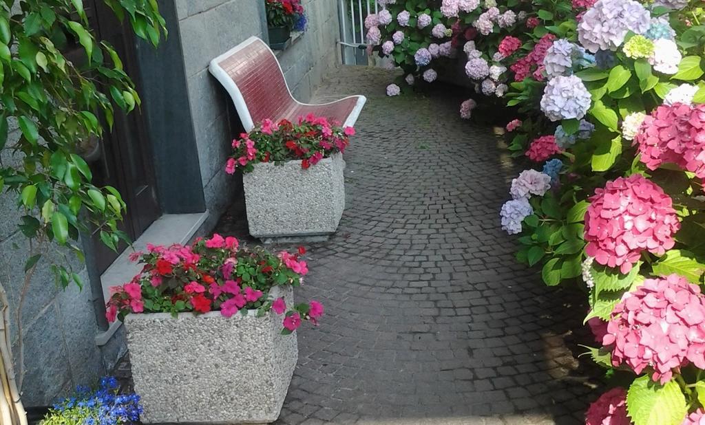 Casa Delle Ortensie Bed & Breakfast Alpignano Eksteriør bilde